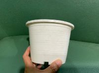 รูปภาพของ เม็ดพลาสติกรีไซเคิล PP สีขาวจุดเงิน Injection Grade - White (MFR = 30)